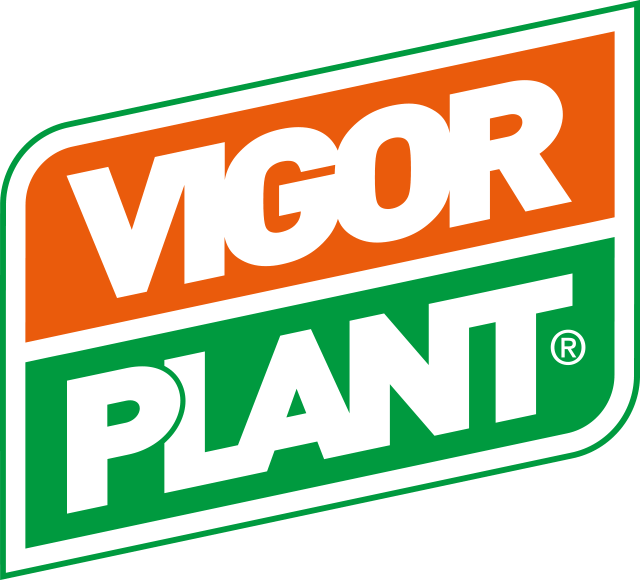 Vigor Plant